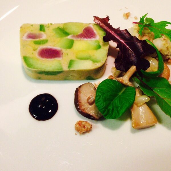 Avocado and Bluefin tuna terrine